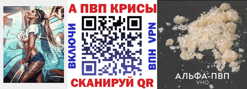 Альфа ПВП СК КРИС  Кострома 