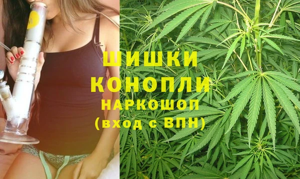 эйфоретик Богородицк